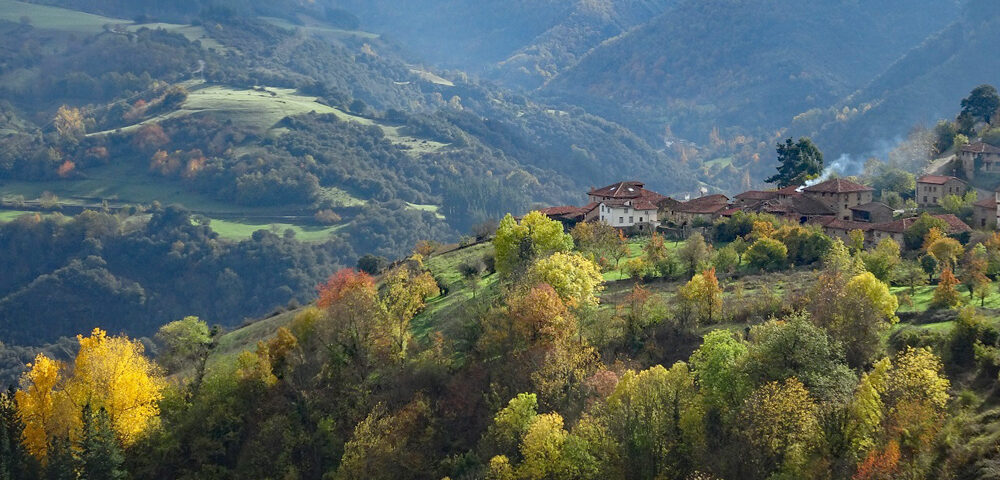Autumn colours