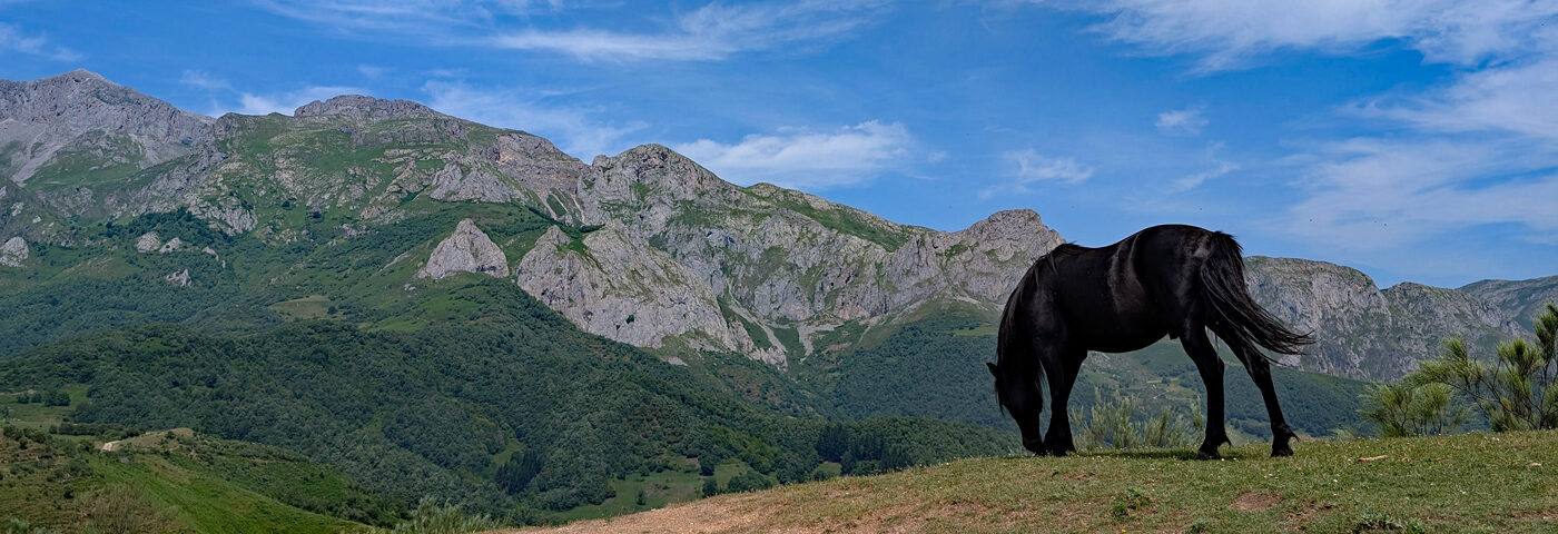 Foothills of the Picos de Europa