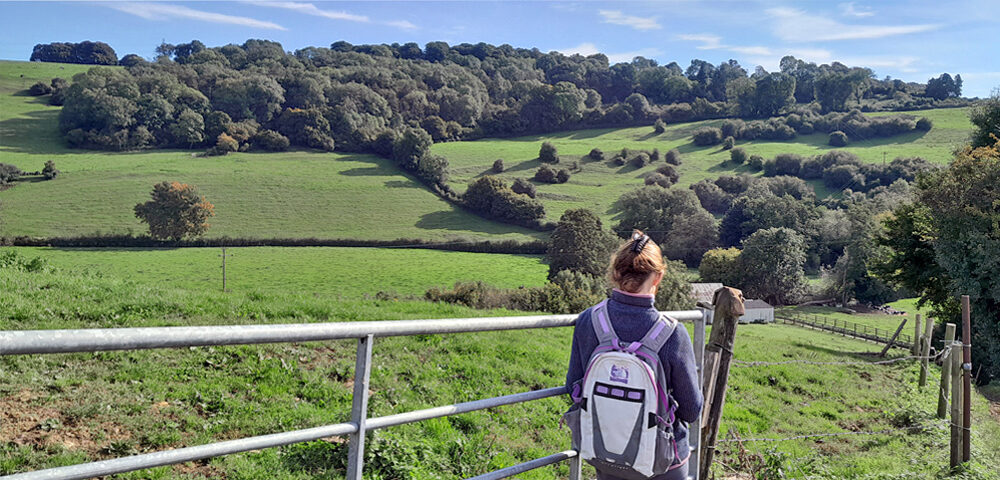 Our route advisor Nicky surveying the journey